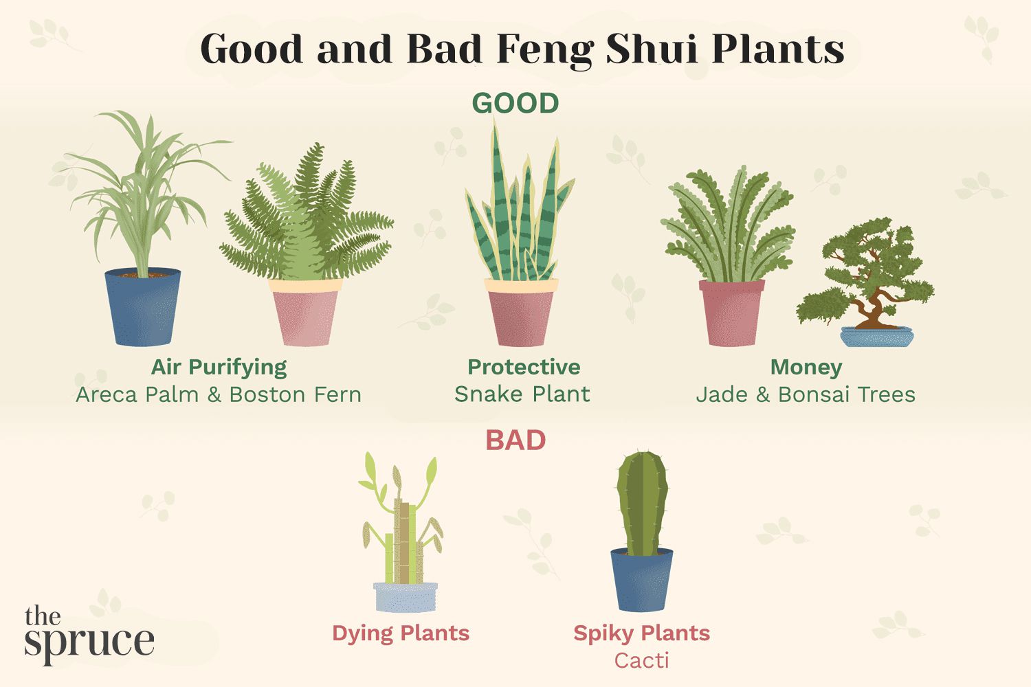 The 15 Best Feng Shui Crops to Use In Your Home