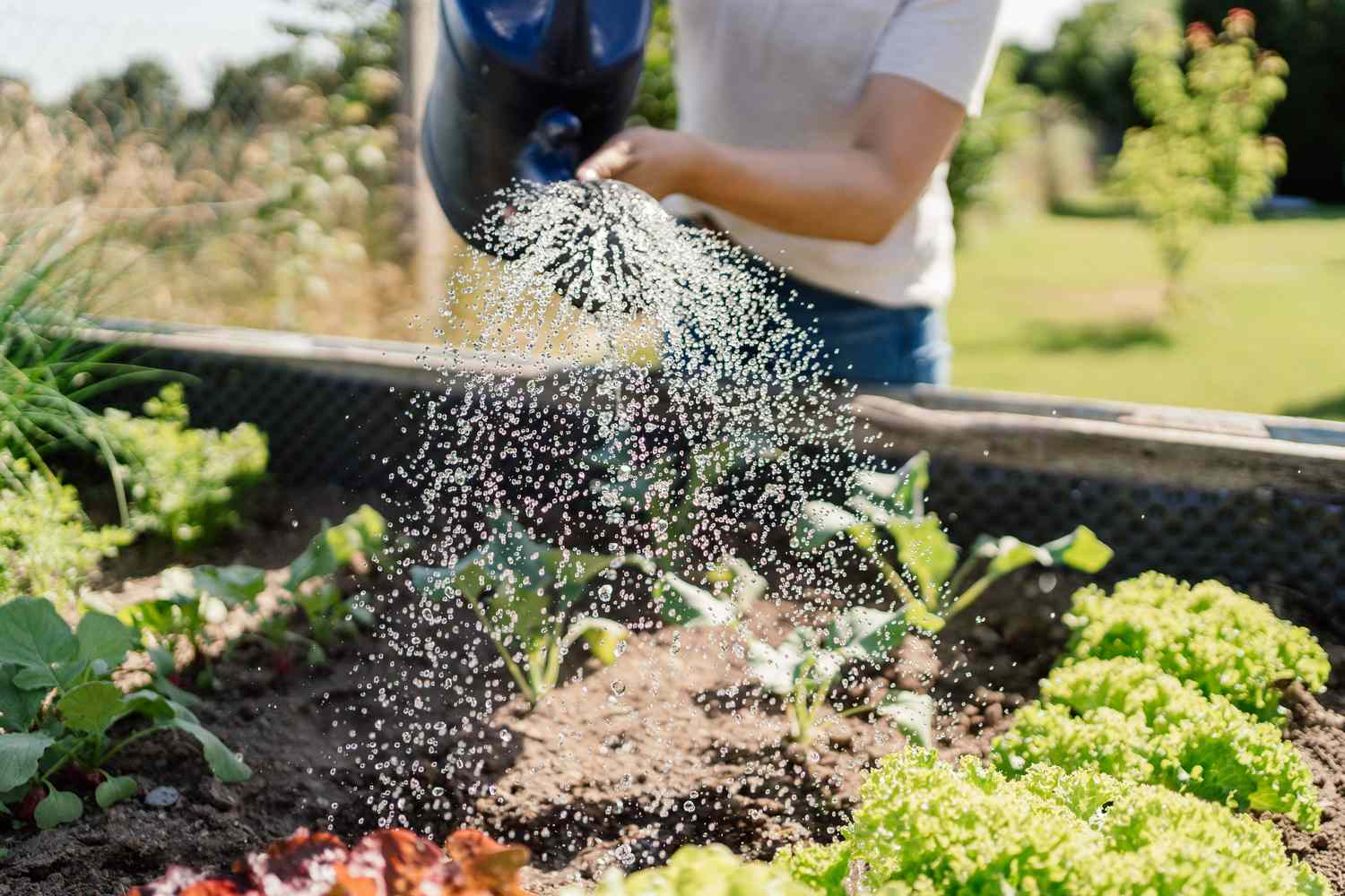 What an Hour of Gardening Does to Your Physique