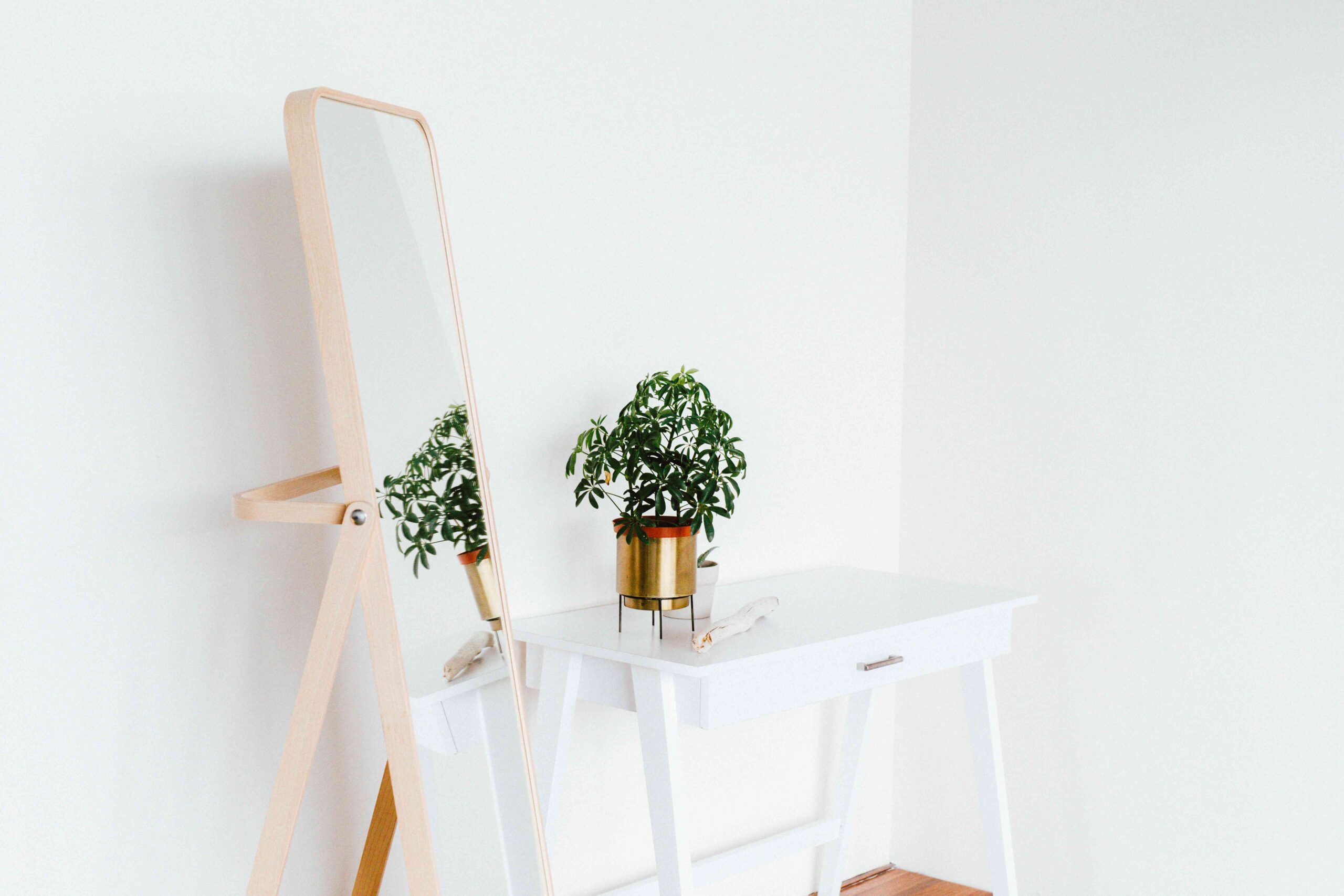 Is It Ever OK to Have a Mirror Coping with a Door in Feng Shui?