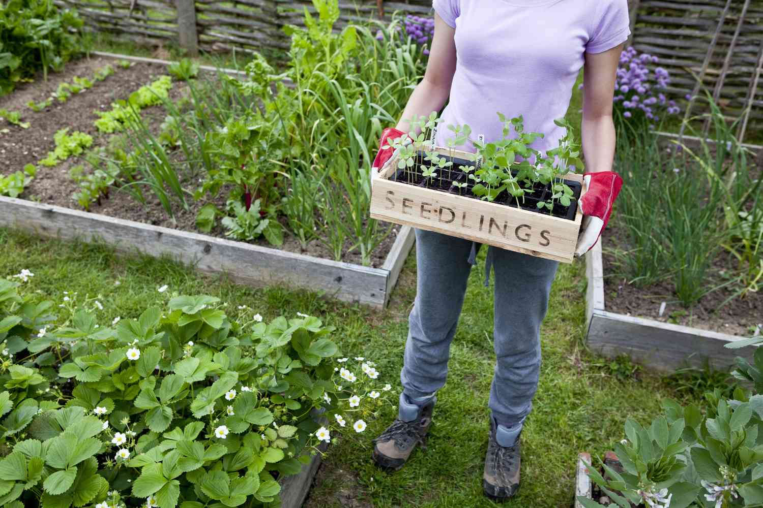 Do You Bear From ‘Scope Creep’ in Your Yard?